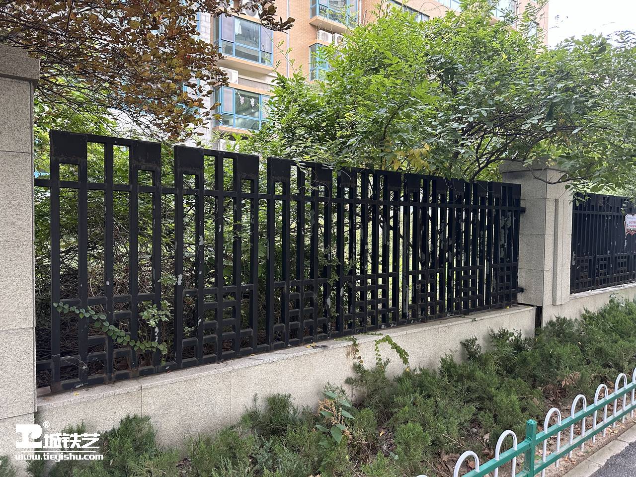 抖音万款铁艺栏杆第595期-视频讲解-铁艺围栏|铁艺围墙|围墙护栏TW23173-实景拍摄-图1
